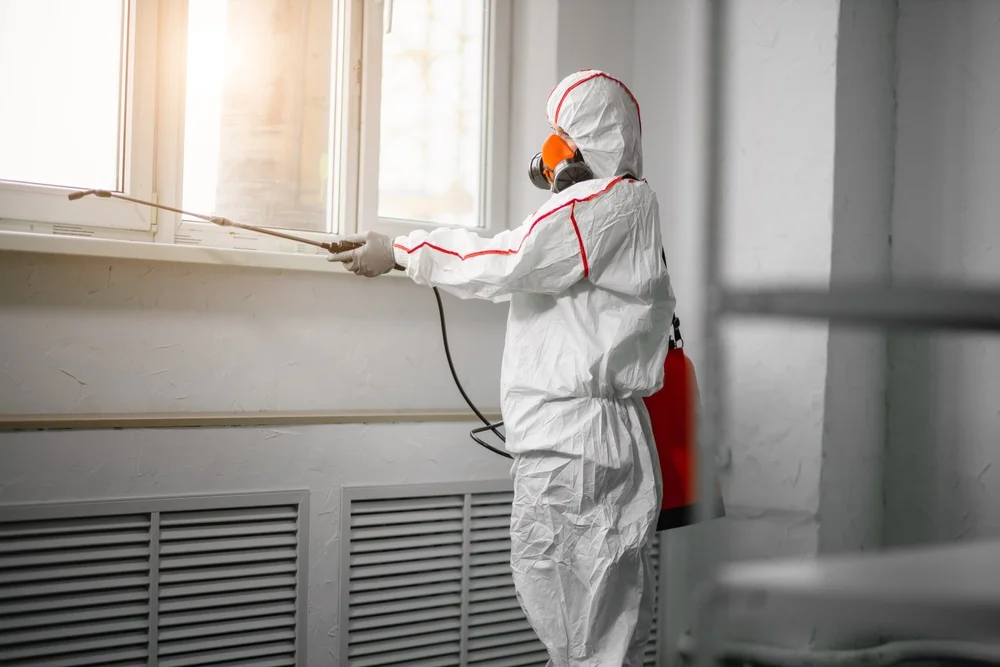 Professional mold remediation services in McDonald, TN